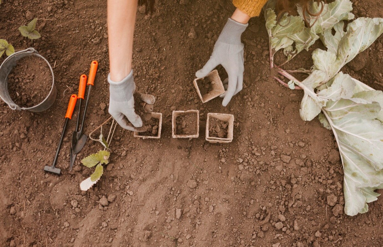 После 20 апреля высаживаем только огурцы: что можно и что нельзя делать огородникам — советует Лунный календарь