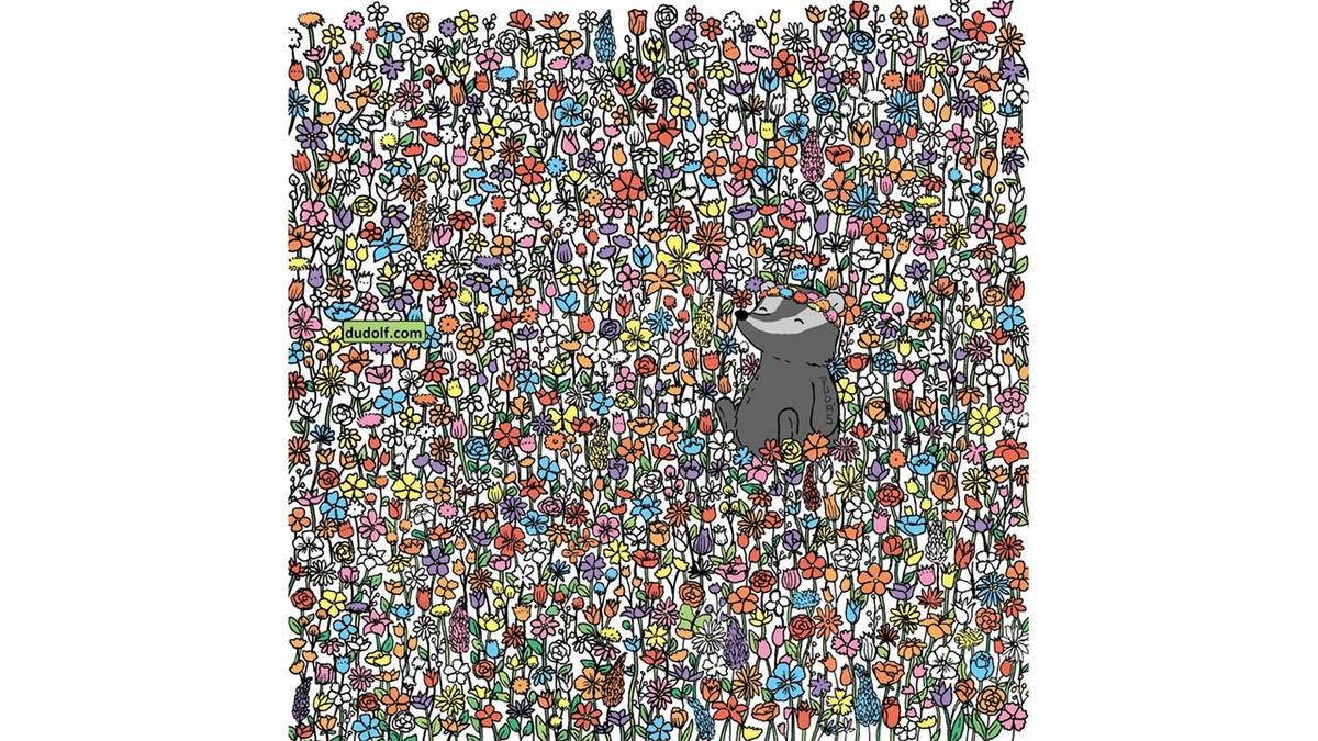 Головоломка для самых глазастых — вам нужно найти на картинке бабочек: покажите детям