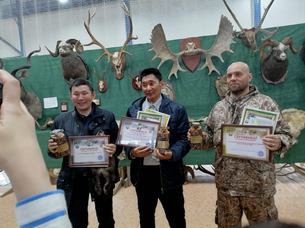 Волчатники Якутии выяснили, кто больше добыл волков и обсудили способы регулирования хищников