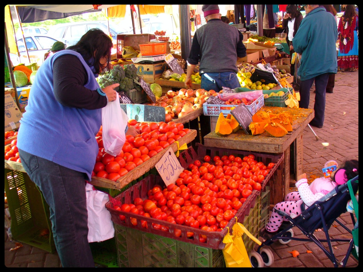 Рецепт удобрения — помидоры «заколосятся»: всего из двух ингредиентов