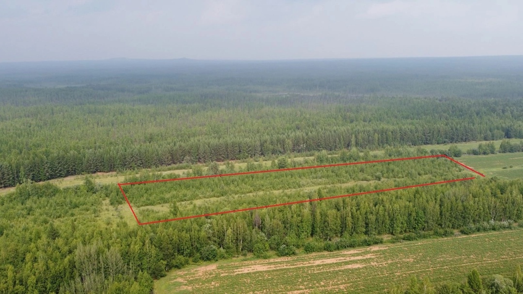 Участок зарос растительностью. В Якутии судом принято решение об изъятии сельхозучастка неиспользуемого по назначению