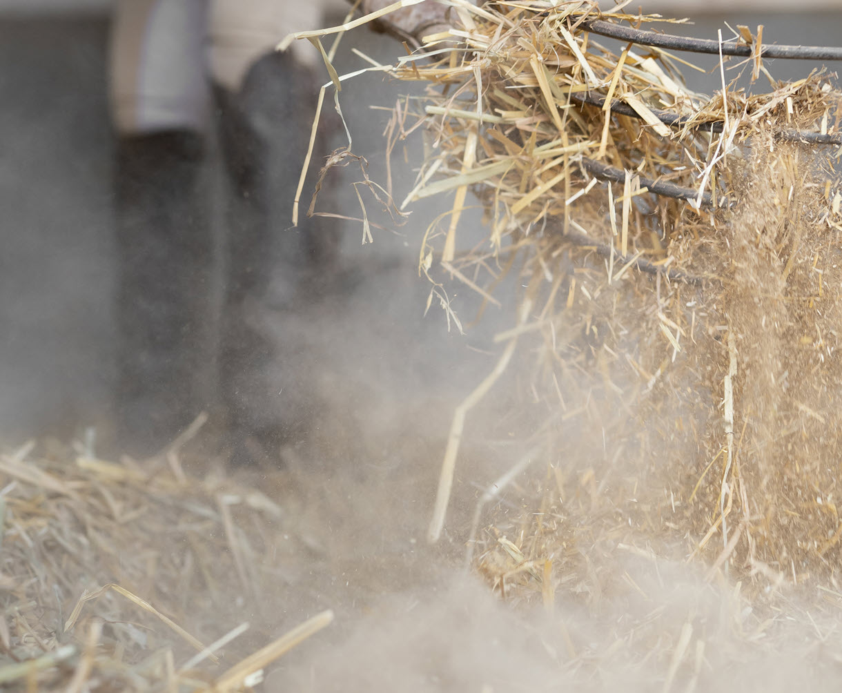 В Якутии фермер, обвиняемый в рабстве, обжалует меру пресечения