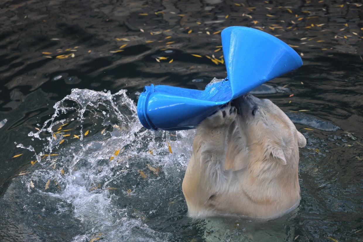Почему у Хаарчааны зимой нет бассейна?