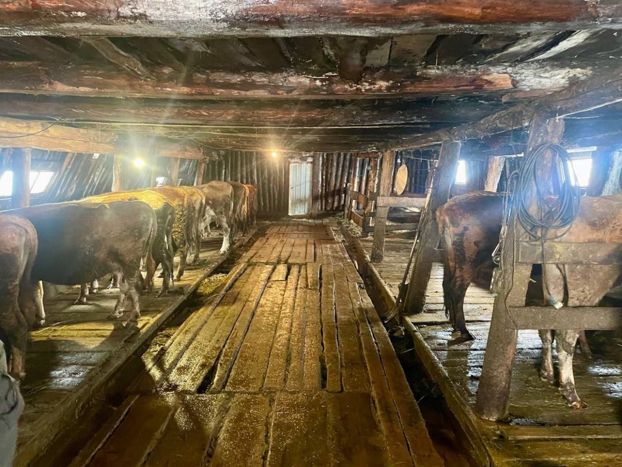 «Якутский фермер Кириллин наоборот помогал людям. Он взял работников из стационара "Тирэх"