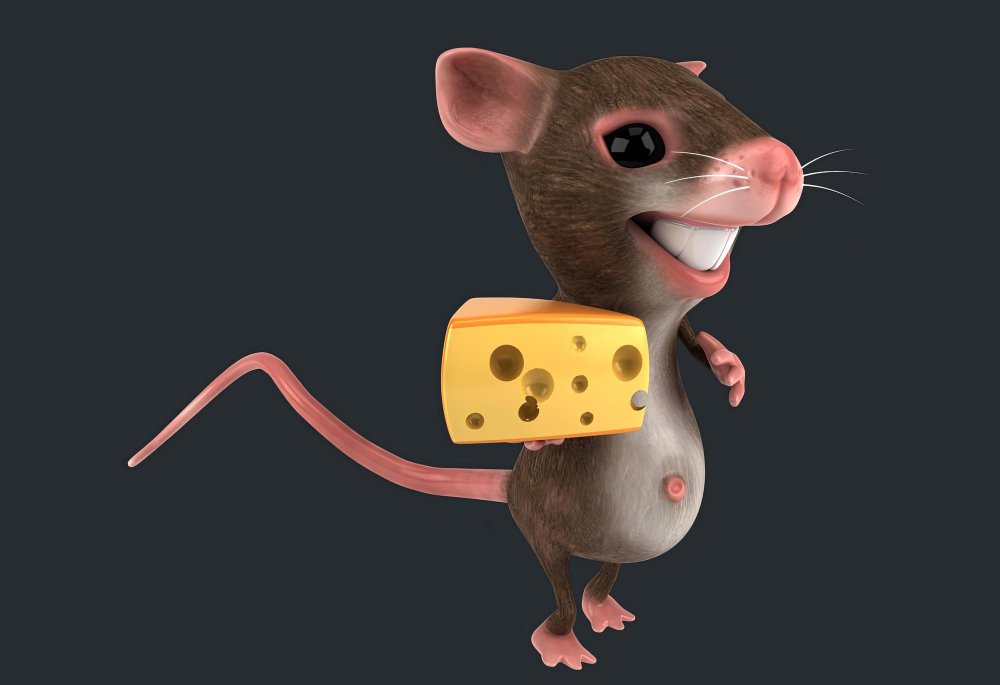 Самцы мышей используют самок как живой щит - так они защищаются от нападения: сейчас расскажем