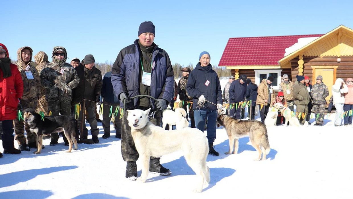 Якутяне хотят признать охотничью породу «саха ыта» в РКФ