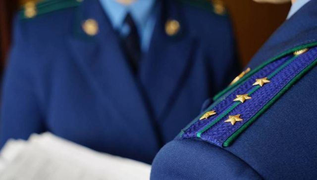 Прокуратура организует проверку после обращения жителей Чапаево к Путину