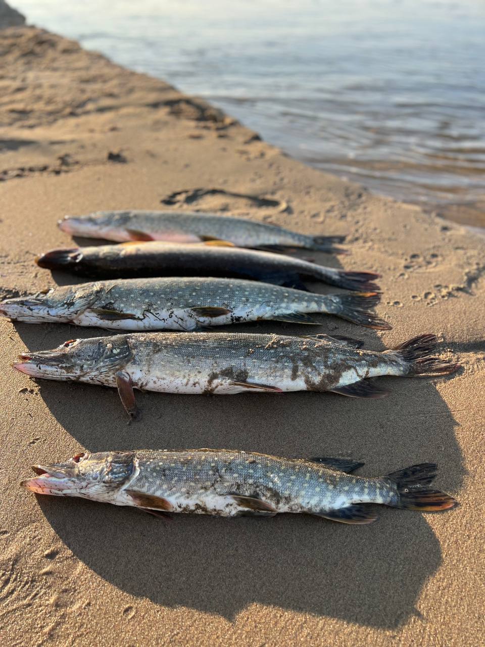 "Никакой рыбалки!": В Якутии главам запретили отпуск во время ледохода и пожаров