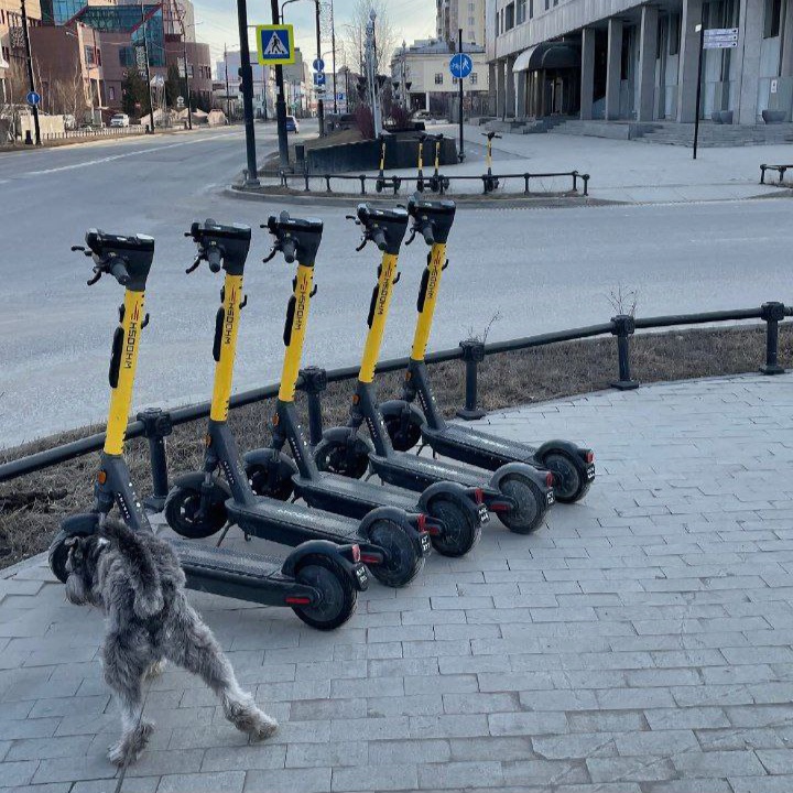 В Якутске загадочно пропали самокаты