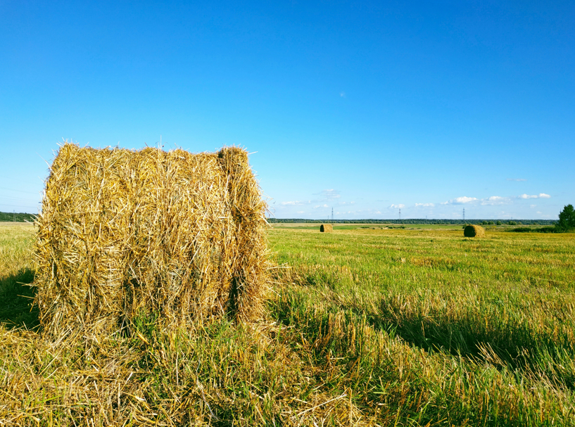 Не покупайте эковату: пустая трата денег — разбираем другие варианты