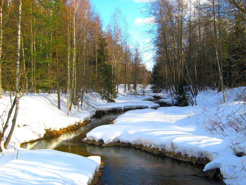 В Якутии продолжаются поиски мужчины, который отправился на поиски табуна и не вернулся