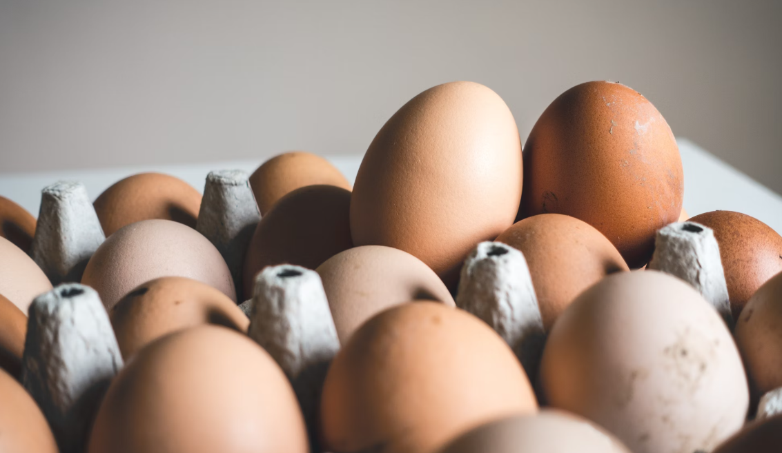 Храним яйца в комнатной температуре: срок годности — методы проверки свежести