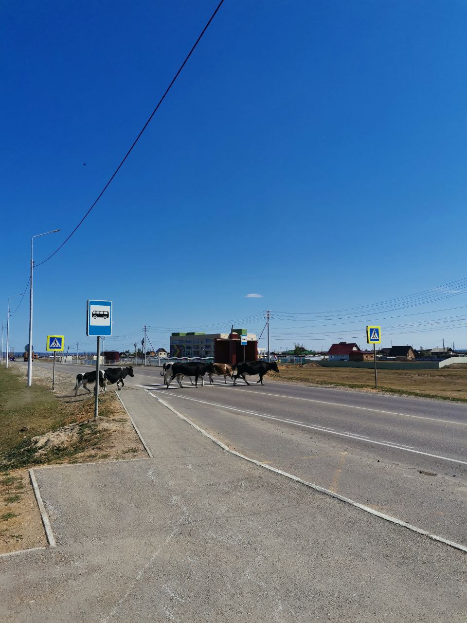 В Якутске участники СВО жалуются на волокиту с земельными участками