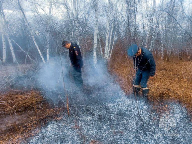В Якутии  ликвидировали четыре лесных пожара, но зарегистрировано шесть новых очагов