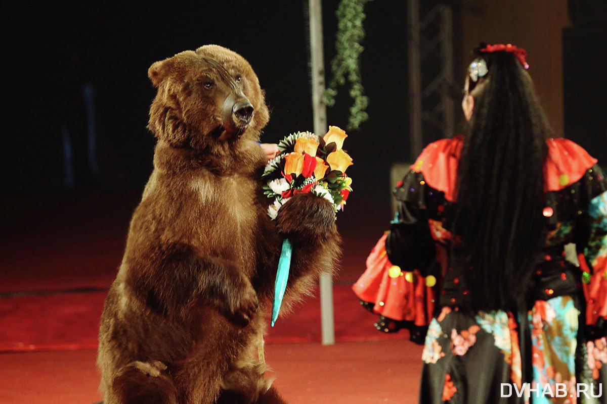 С 1 июня по 29 июня в Якутском стационарном цирке пройдет программа "Парад Алле"