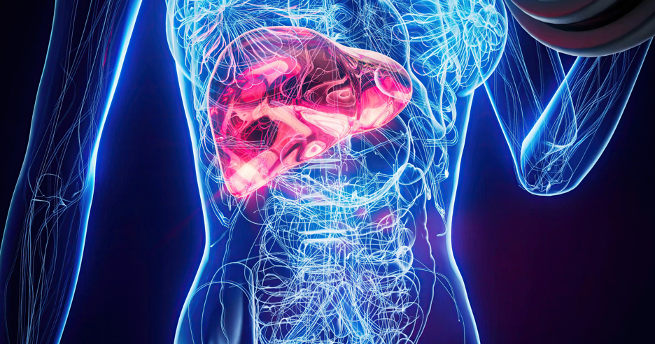 5 продуктов для печени: здоровье словно вам 20 лет — советы от экспертов