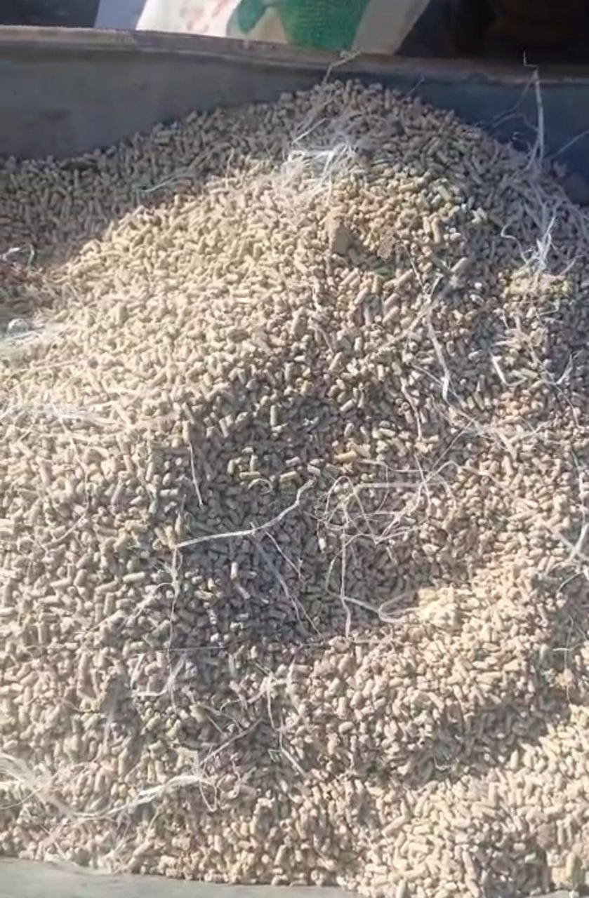 Заводчику охотничьих якутских лаек продали комбикорм с плесенью