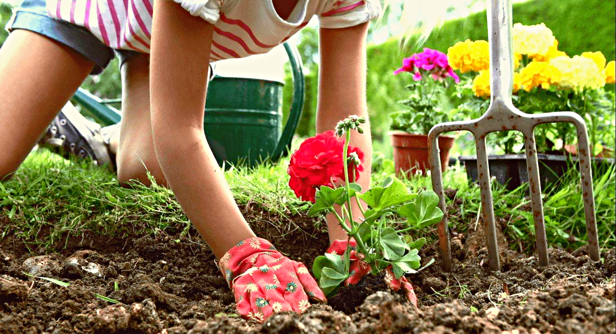 Что делать, если вы «упахались» на даче: боремся с болью в спине — подборка полезных советов