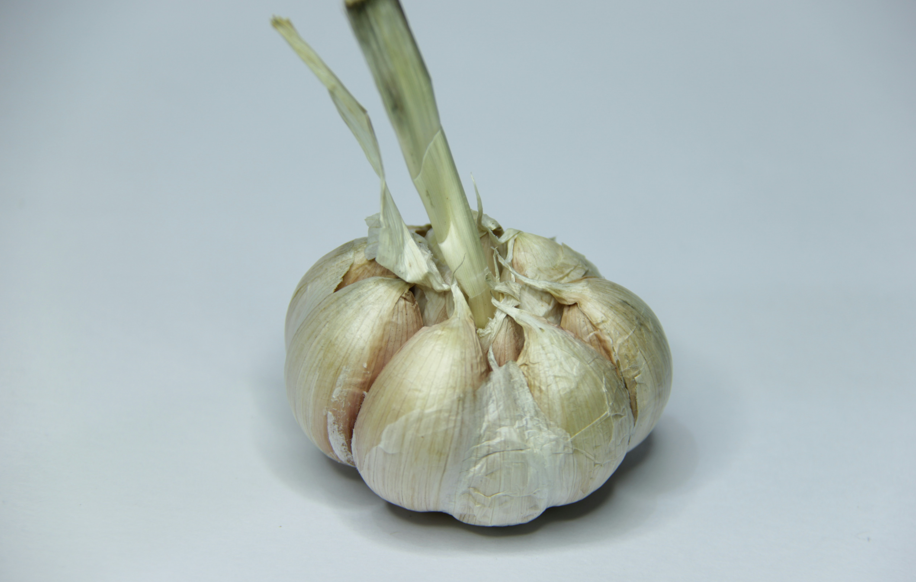Жёлтый чеснок не проблема: народный раствор поможет — всего 30 рублей