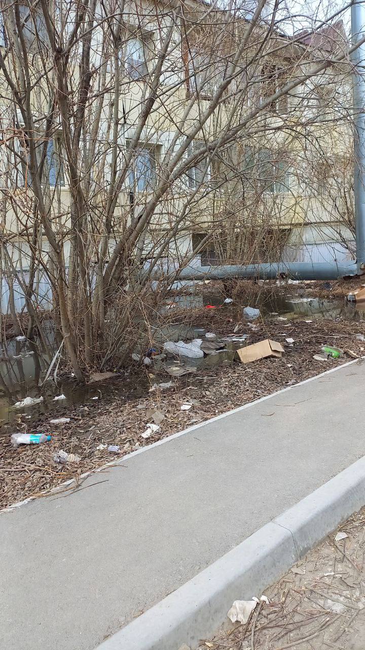 Мэр Якутска поручил ускорить работы по уборке столицы