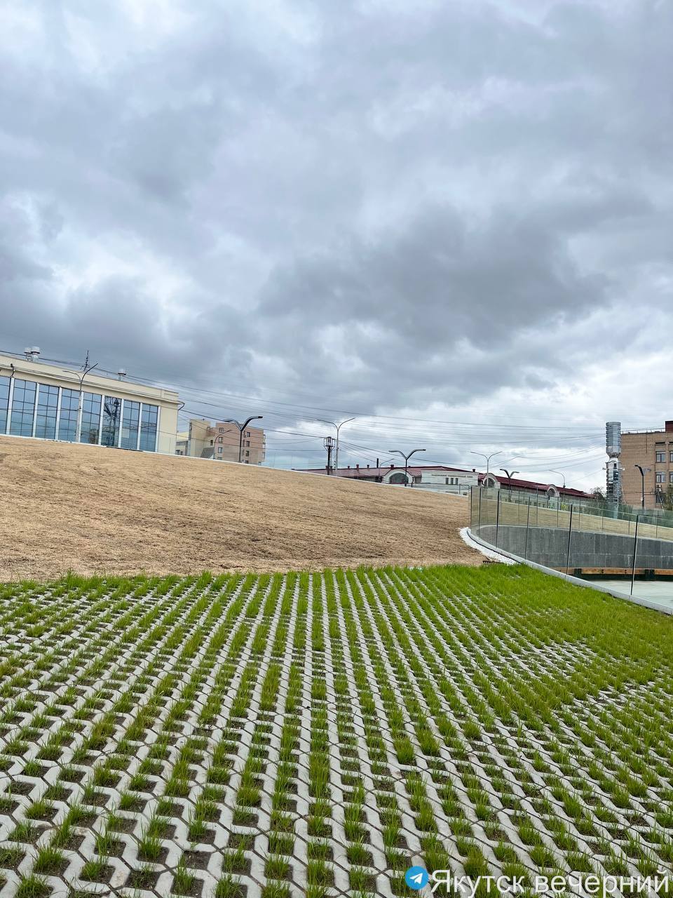 Фотофакт: В Якутске начали сажать новый газон