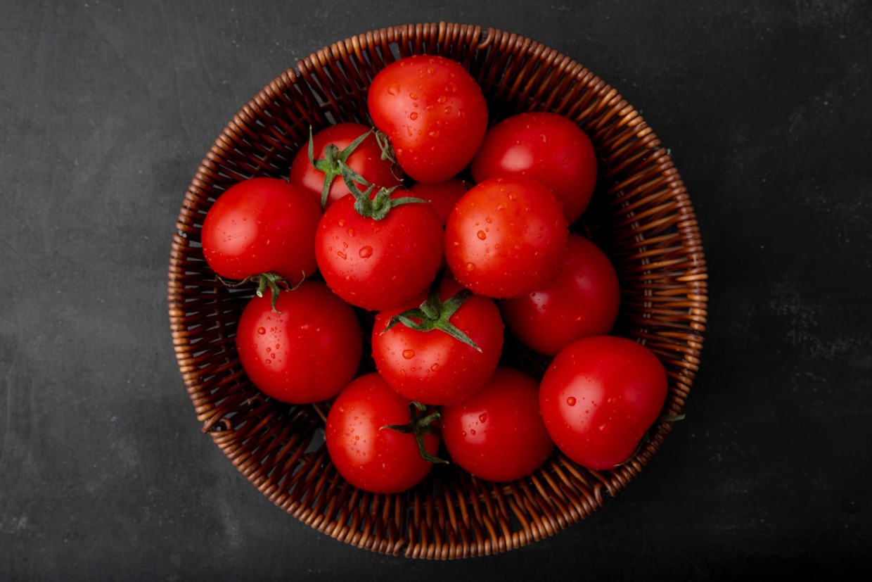 Секретный дедовский прием: меньше недели, и томаты станут как новенькие — 1 легкий способ родом из СССР, о котором забыли