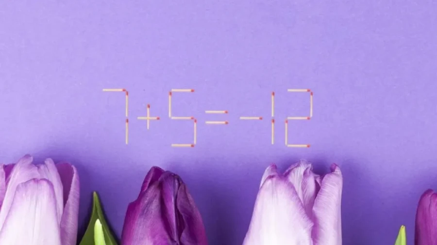 Лучше, чем гинкго билоба: хватит пить БАДы, тренируйте мозги естественным путем — не глицин, а спички