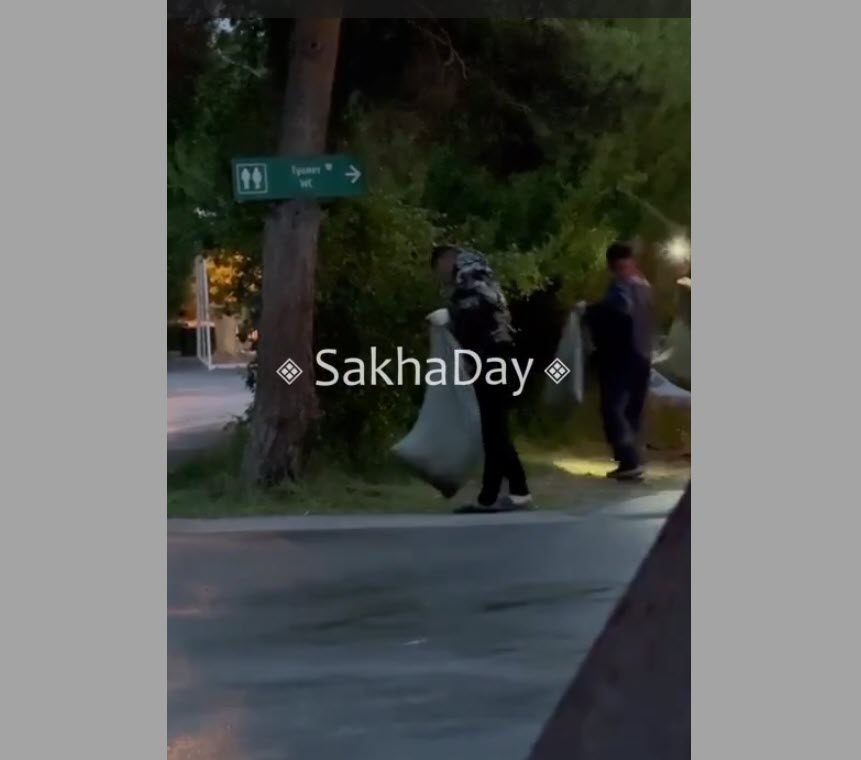 Озеленение в Якутске. Зачем в парке рассыпали траву?