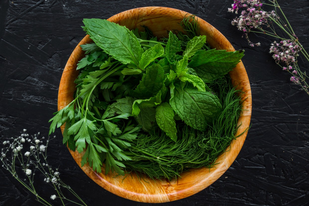 Нет, не трогайте крапиву: она не сорняк и не мусор — это настоящий клад