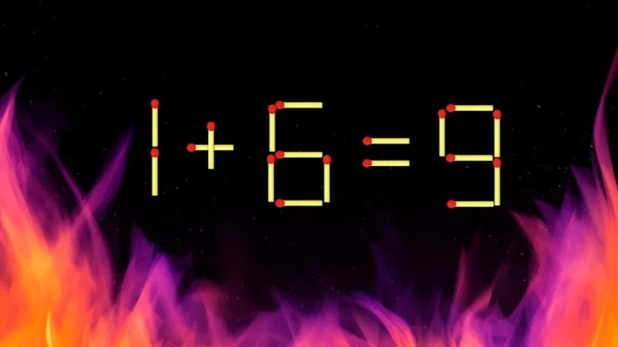 Вам не нужна волшебная таблетка: повышаем эффективность мозга и используем его на 100% — достаточно 1 раз в день