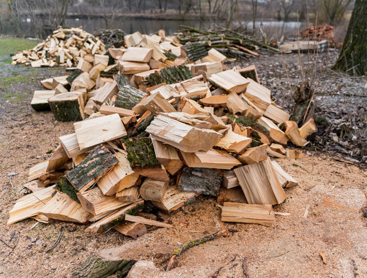 В Усть-Майском районе осудили мужчину за незаконную вырубку леса