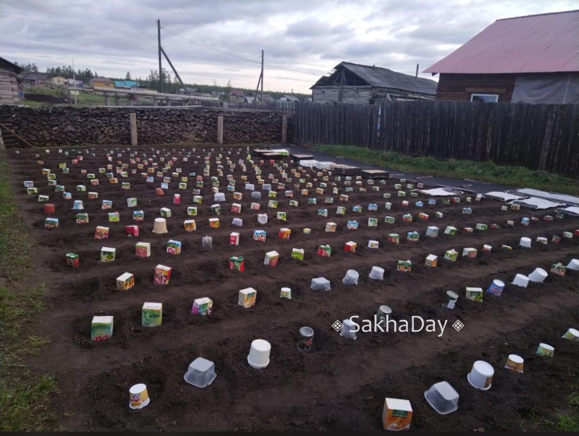 Предупреждение от Тускула: Берегите огород от инея