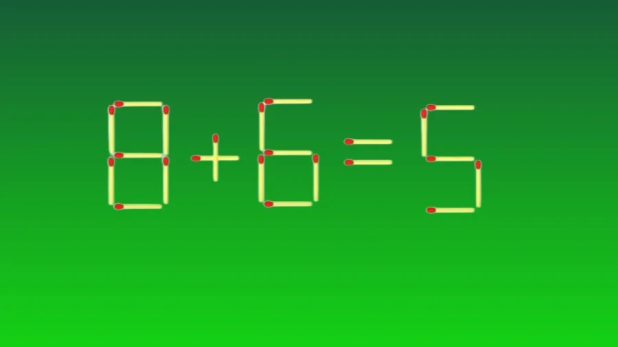 Магнит для женщин: интеллект — это сексуально, тренируйте мозг, чтобы стать завидным и достойным женихом