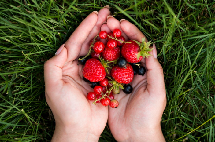 Добавьте сушеные лесные ягоды: рецепт вкусных домашних пирожков — детишкам очень понравится