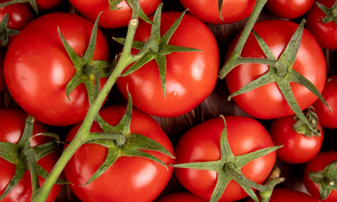 Вкусный рецепт томатов с моцареллой: ароматное блюдо — пальчики оближешь