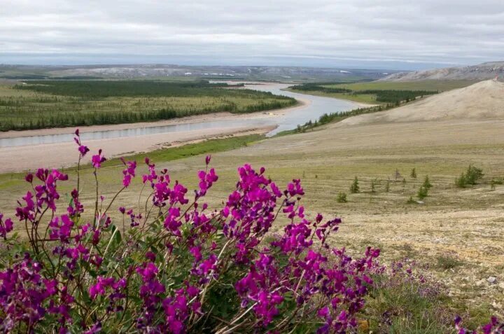 В Усть-Янском улусе произошло сильное землетрясение