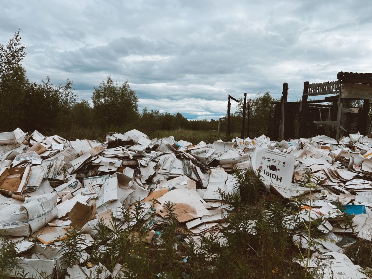 ЯКУТСКЭКОСЕТИ выявили схему незаконного вывоза отходов нелегальными перевозчиками