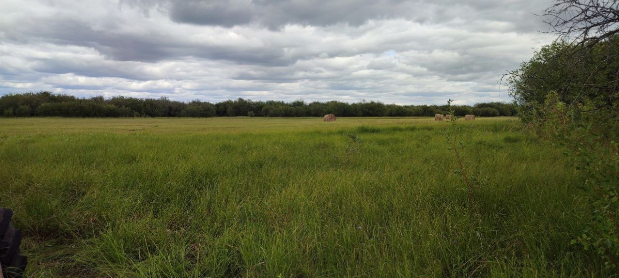 Искали спасатели – нашли криминалисты. Поиски пропавшей женщины на сенокосе обернулись раскрытием убийства