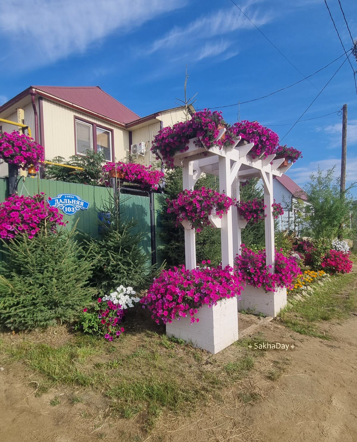 В Якутске проходит очень тихий «Зеленый кубок-2025»