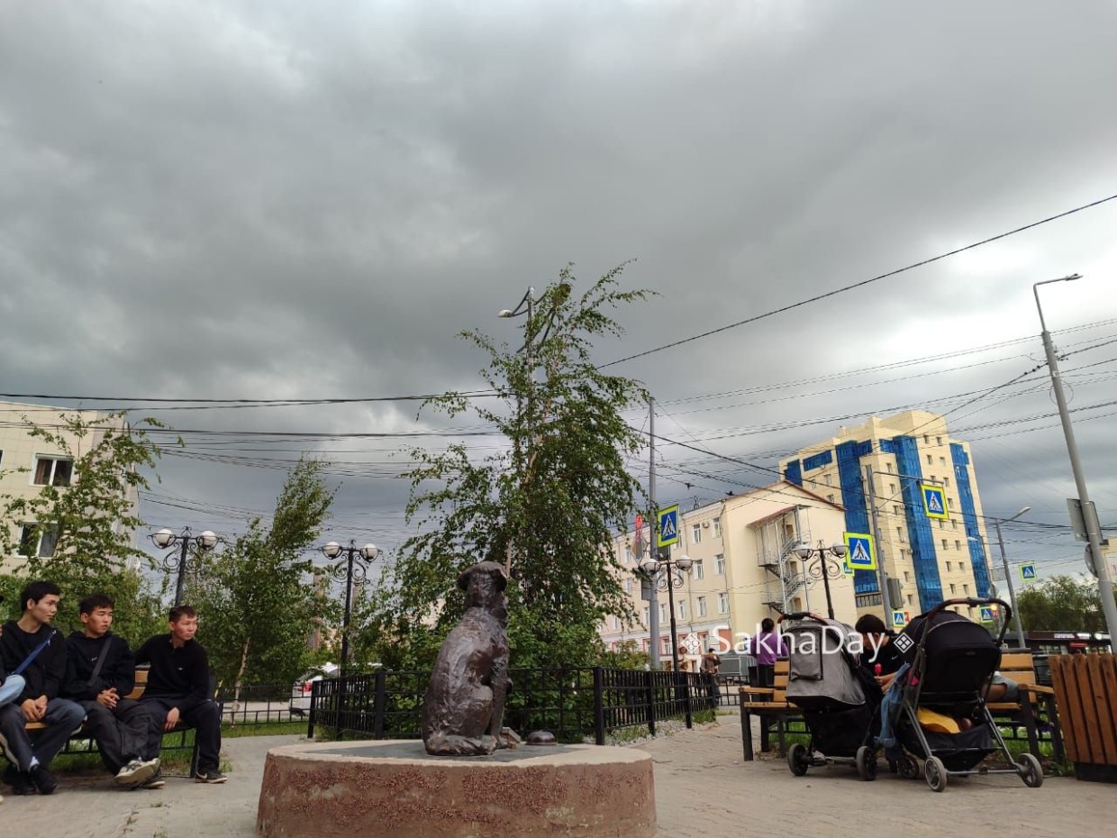 Дожди и штормовой ветер: какая погода ждёт Якутию 11 июля