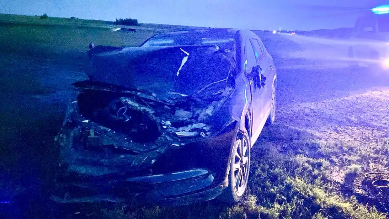 Автомобиль, сбивший лошадей 10 июля, принадлежит супруге Джиды