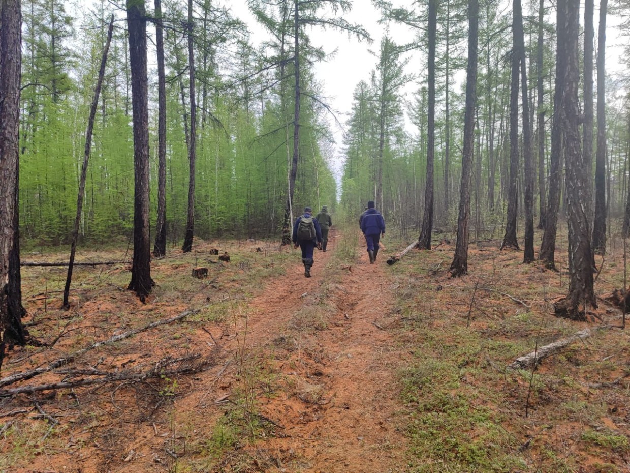 Спасатели возобновили поиски Анастасии Монастыревой