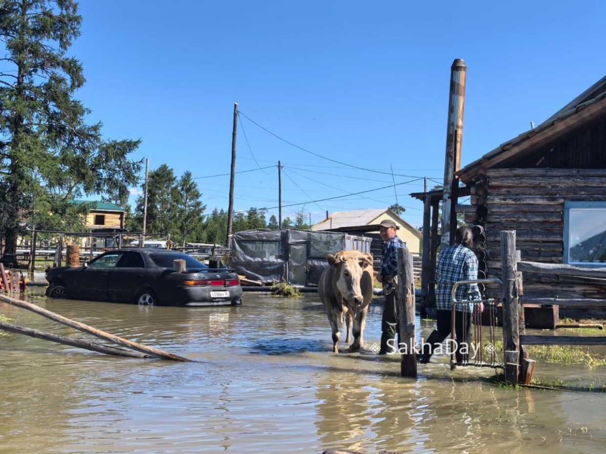 Жители Оймяконья: «Мы еще не сталкивались с таким бедствием!»