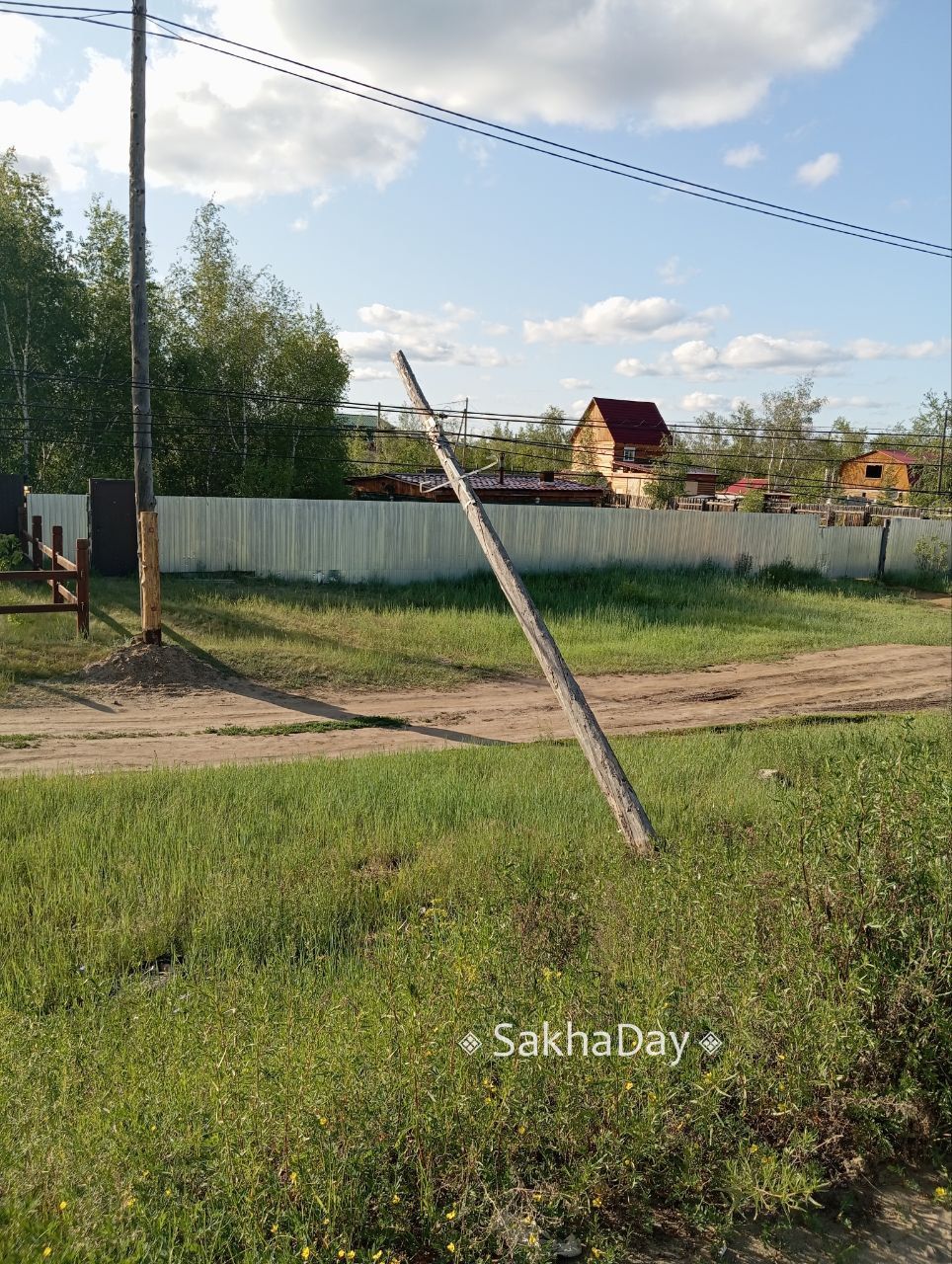 Якутяне страдают от клещей. Какие места в Якутске наиболее опасны?