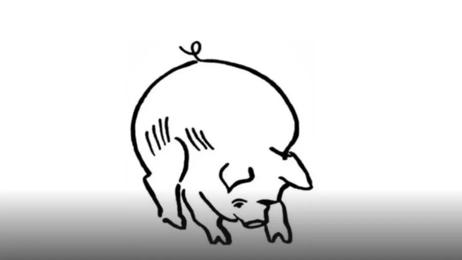 Хряк или простак: найдите на картинке со свинкой пожилого фермера — у вас есть 7 секунд