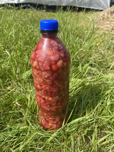 В Якутии один литр земляничного варенья стоит от 5 тысяч рублей