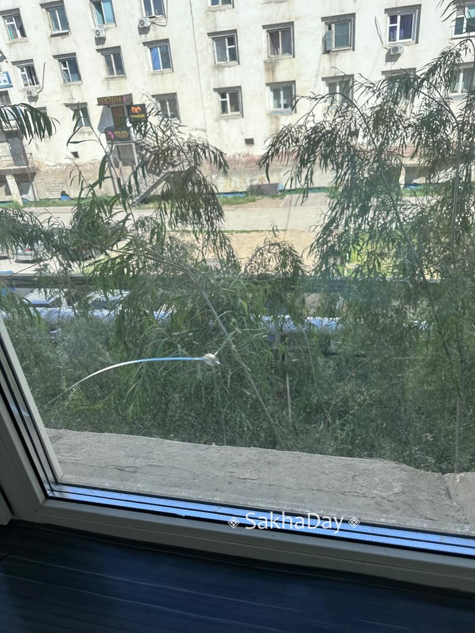 Мужчина, устроивший стрельбу во дворе в Якутске, задержан полицией