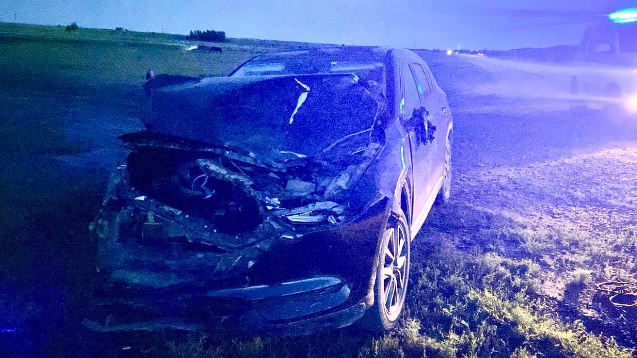 В результате наезда на табун погибла одна лошадь. В ГИБДД сообщили, кто сидел за рулем