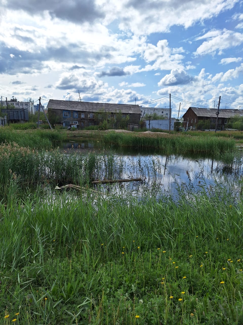 Весенние работы по пропуску талых вод в Якутске не выполнены - в результате образовалось болото