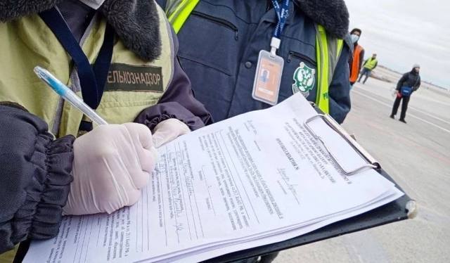 Что везут из Якутии? Рыбу, бивни, шкурки соболя